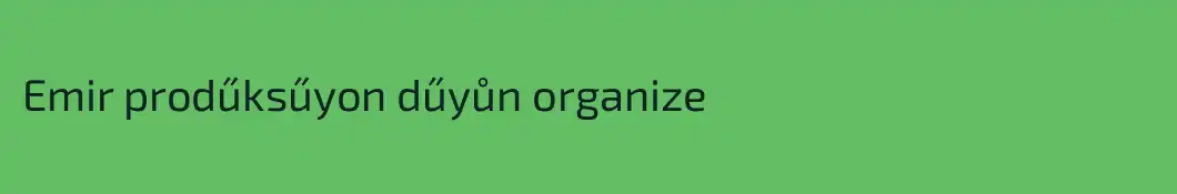 Emir prodűksűyon dűyůn organize